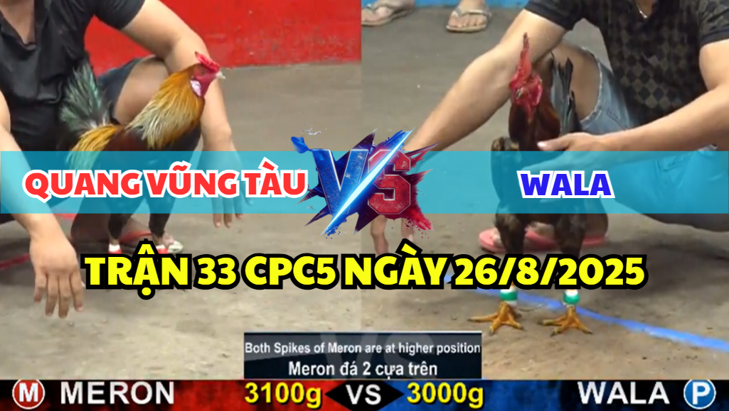 trận 33 cpc5 ngày 26/8/2025 hôm nay