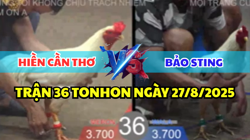 trận 36 bồ tonhon ngày 27/8/2025 hôm nay giữa bảo sting vs anh hiền cần thơ