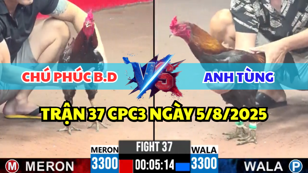 trận 37 cpc3 ngày 5/8/2025 hôm nay giữa chú phúc bình dương và anh tùng