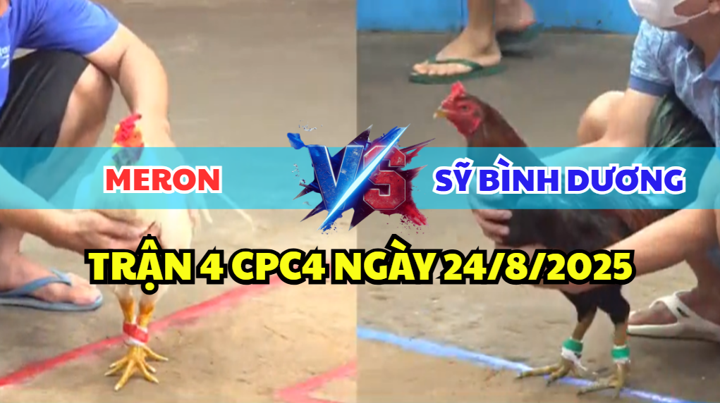 trận 4 cpc5 ngày 24/8/2025 sỹ bình dương hôm nay