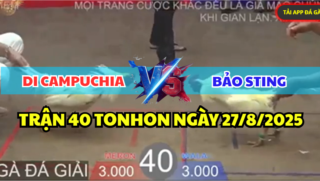 trận 40 bồ tonhon ngày 27/8/2025 hôm nay giữa bảo sting vs anh di cpc