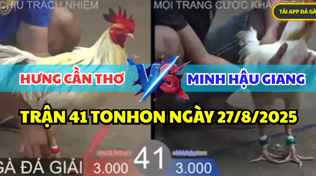 trận 41 bồ tonhon ngày 27/8/2025 hôm nay giữa hưng cần thơ vs minh hậu giang
