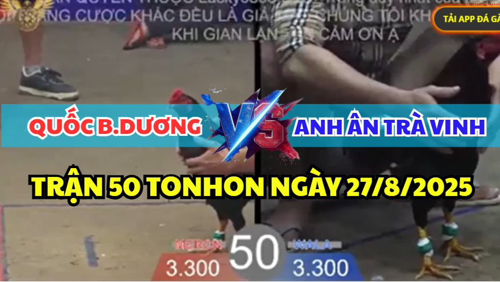 trận 50 bồ tonhon ngày 27/8/2025 hôm nay