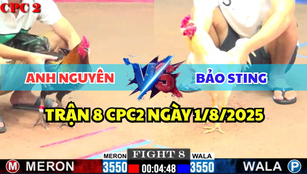 trận 8 cpc2 ngày 1/8/2025 hôm nay giữa bảo sting vs anh nguyên