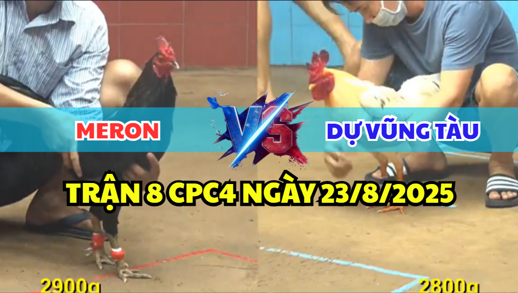 trận 8 cpc4 ngày 23/8/2025 dự vũng tàu hôm nay
