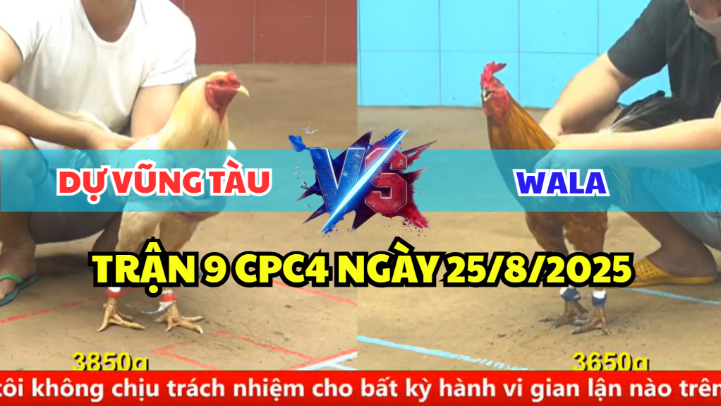 trận 9 cpc4 ngày 25/8/2025 dự vũng tàu hôm nay