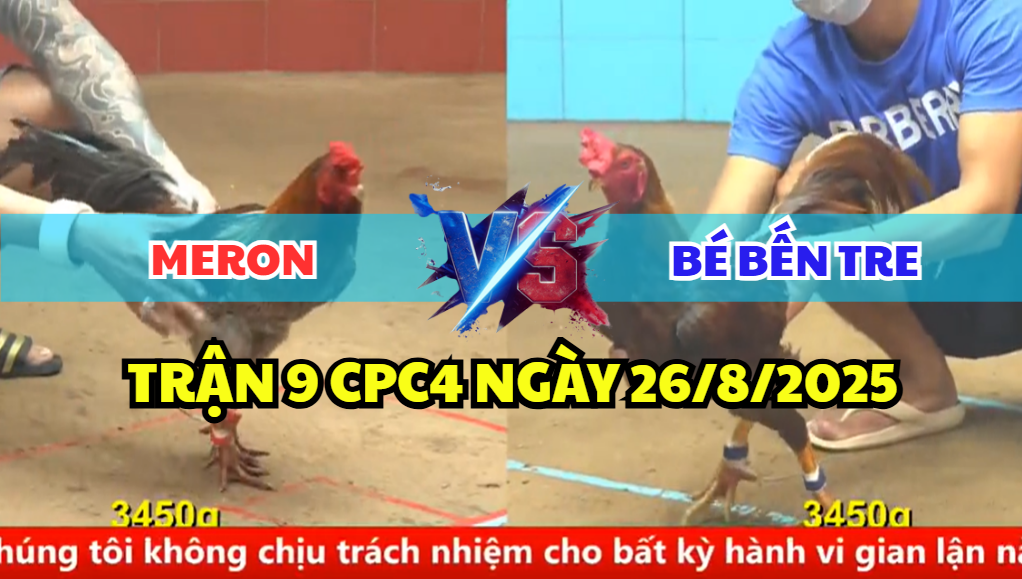 trận 9 cpc4 ngày 26/8/2025 bé bến tre hôm nay