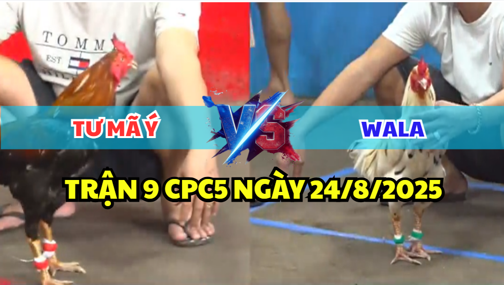 trận 9 cpc5 ngày 24/8/2025 tư mã ý hôm nay