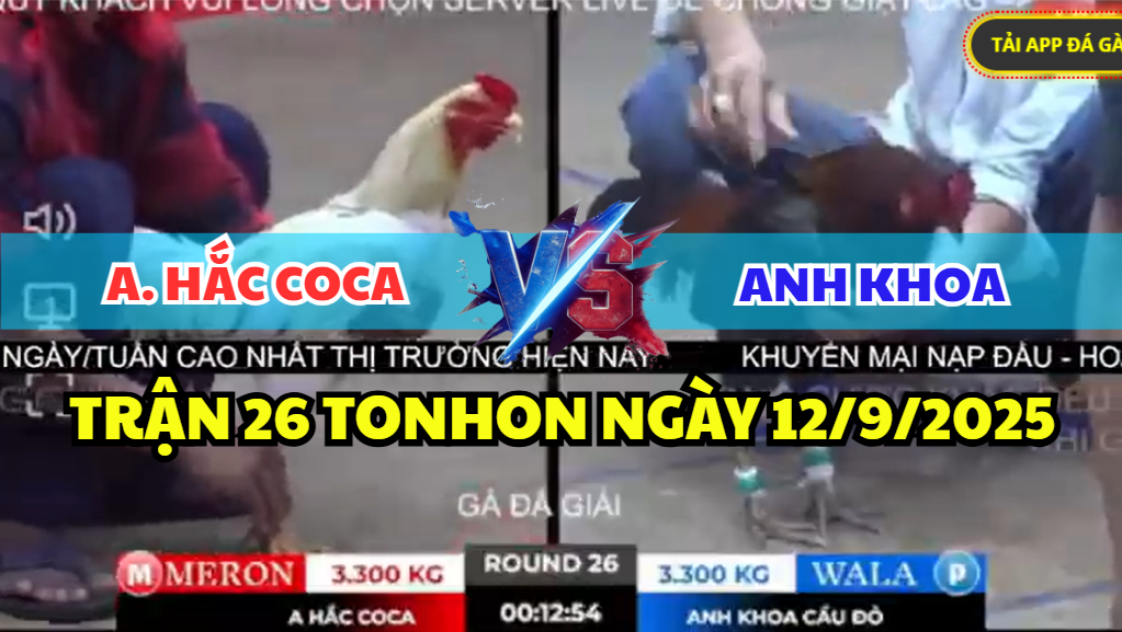 trận 26 tonhon ngày 12/9/2025 hôm nay
