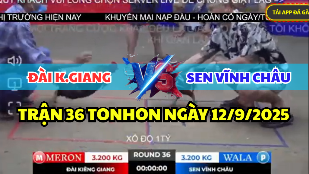 trận 36 tonhon ngày 12/9/2025 hôm nay giữa sen vĩnh châu vs đài kiên giang xổ 1 tỷ