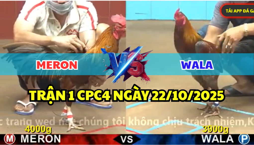 trận 1 cpc4 ngày 22/10/2025 hôm nay