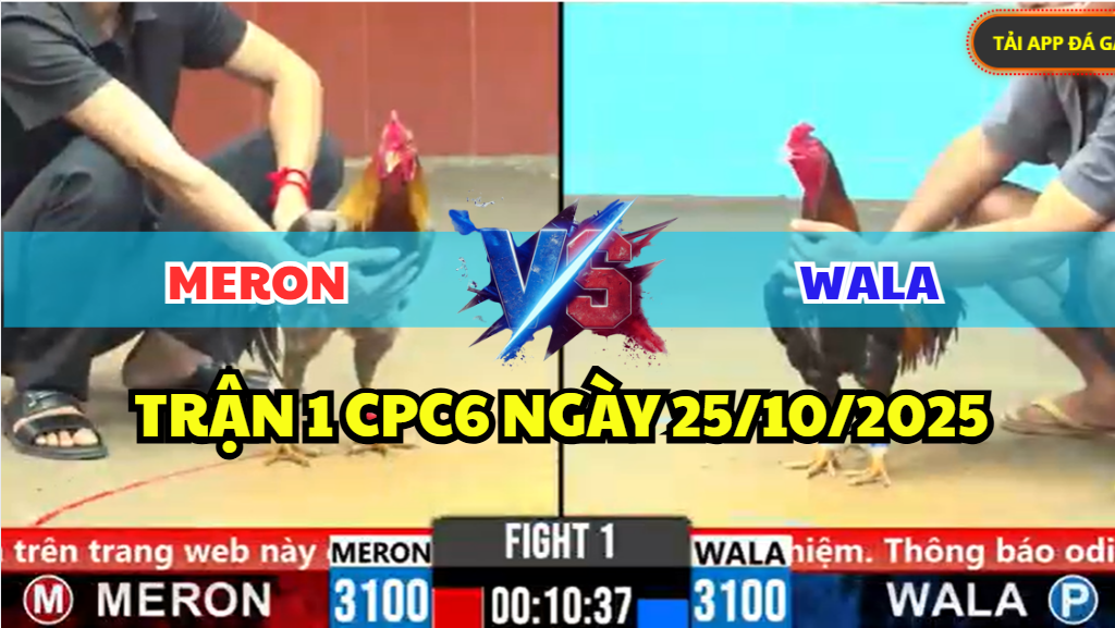 trận 1 cpc6 ngày 25/10/2025 hôm nay