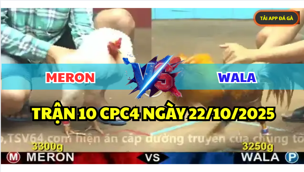 trận 10 cpc4 ngày 22/10/2025 hôm nay