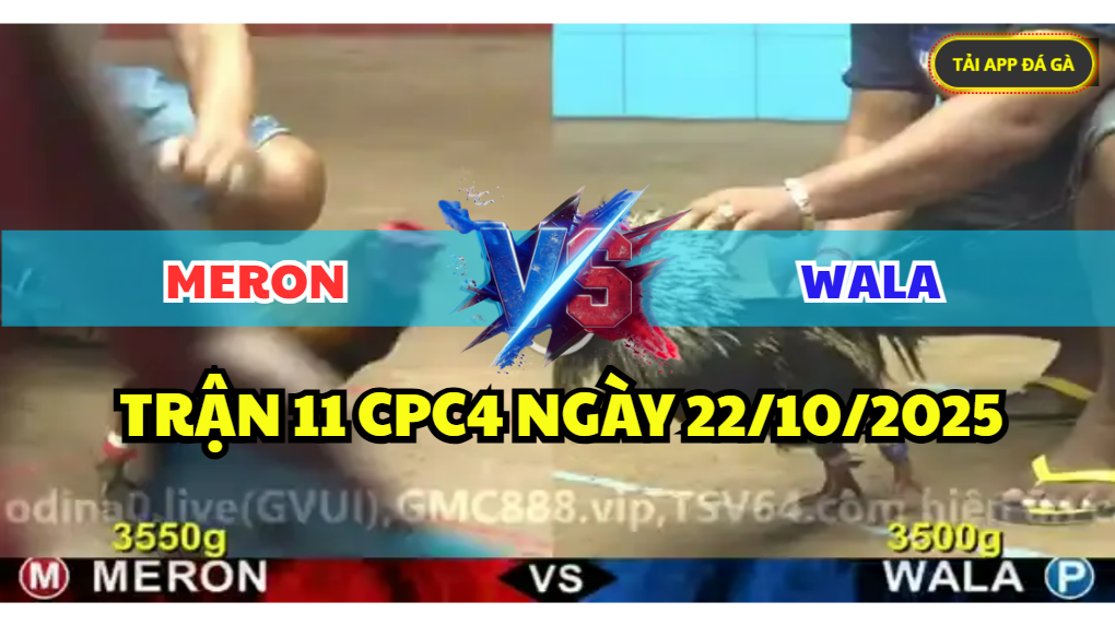 trận 12 cpc4 ngày 22/10/2025 hôm nay