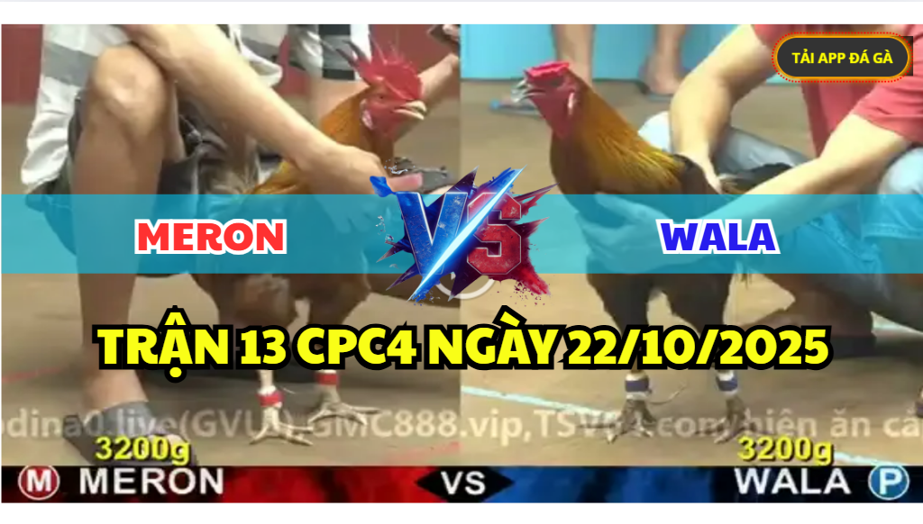 trận 13 cpc4 ngày 22/10/2025 hôm nay
