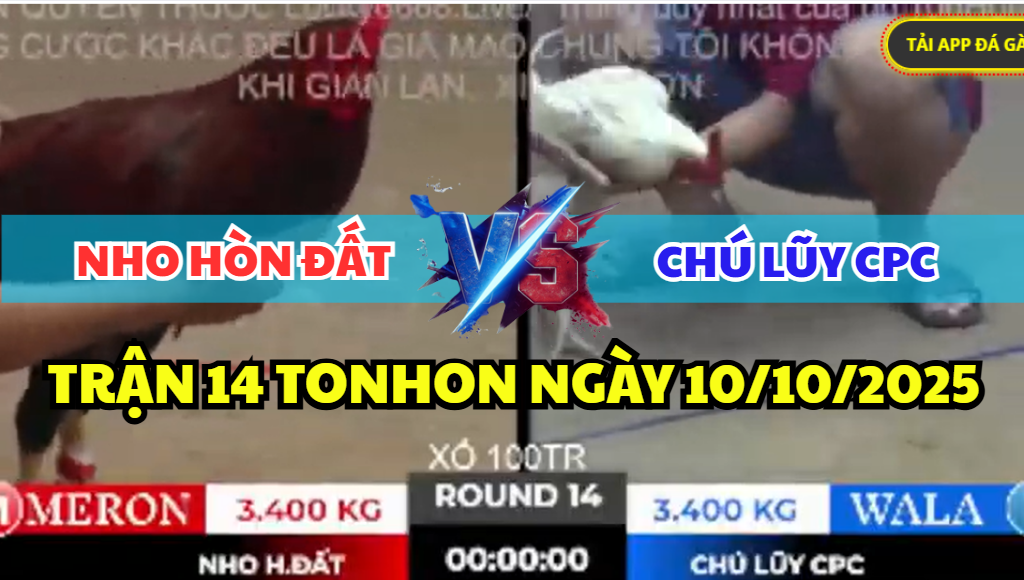 trận 14 tonhon ngày 10/10/2025 hôm nay giữa nho hòn đất vs chú lũy cpc