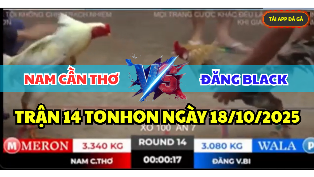 trận 14 tonhon ngày 18/10/2025 hôm nay giữa anh đăng black vs anh nam cần thơ