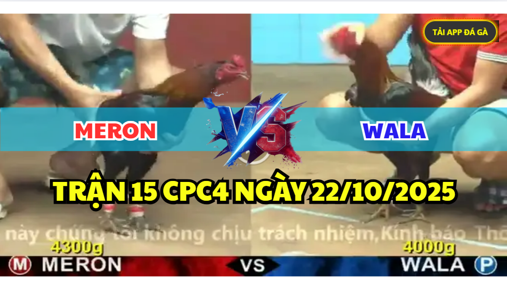 trận 15 cpc4 ngày 22/10/2025 hôm nay