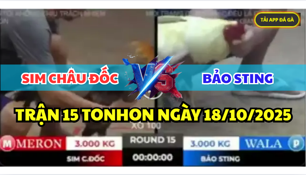 trận 15 tonhon ngày 18/10/2025 hôm nay giữa anh bảo sting vs anh sim châu đốc