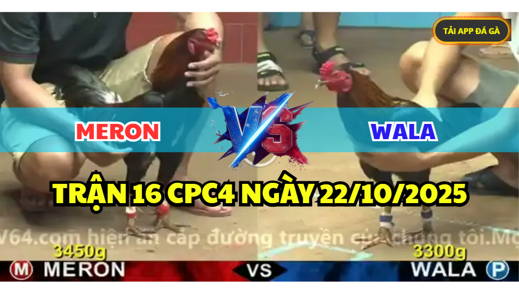 trận 16 cpc4 ngày 22/10/2025 hôm nay