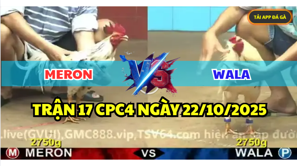 trận 17 cpc4 ngày 22/10/2025 hôm nay