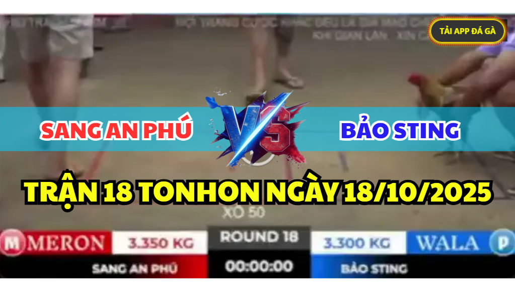 trận 18 tonhon ngày 18/10/2025 hôm nay giữa bảo sting vs anh sang an phú