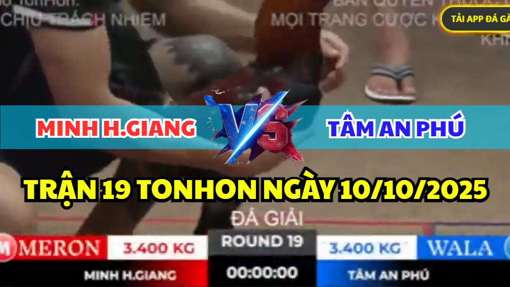 trận 19 tonhon ngày 10/10/2025 hôm nay giữa minh hậu giang vs tâm an phú