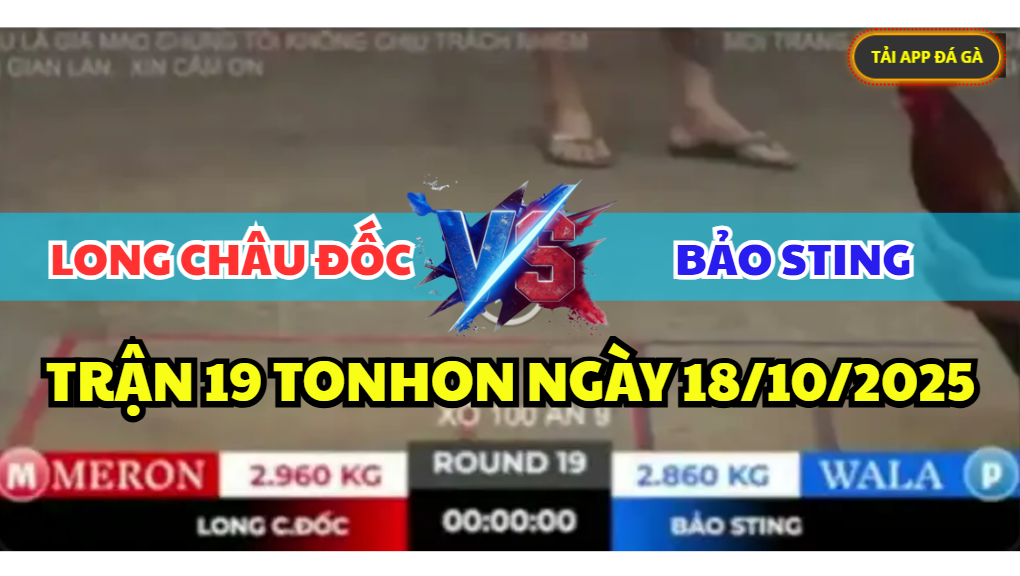 trận 19 tonhon ngày 18/10/2025 hôm nay giữa bảo sting vs long châu đốc