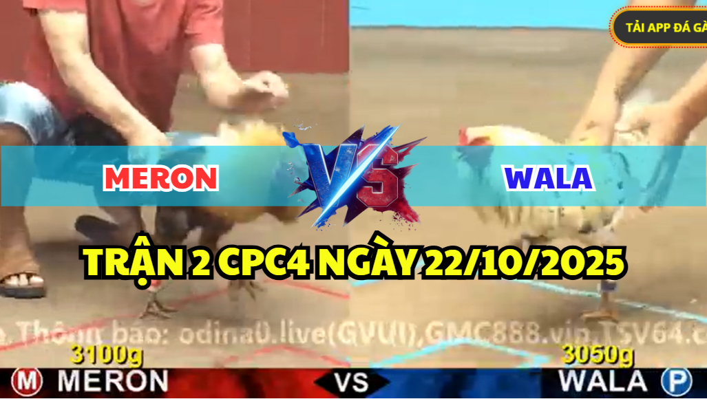trận 2 cpc4 ngày 22/10/2025 hôm nay