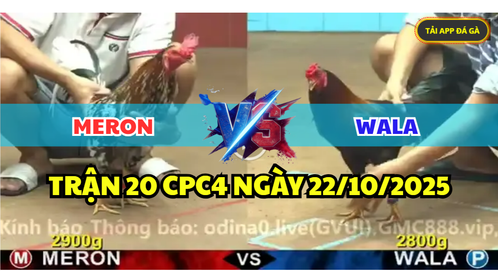 trận 20 cpc4 ngày 22/10/2025 hôm nay
