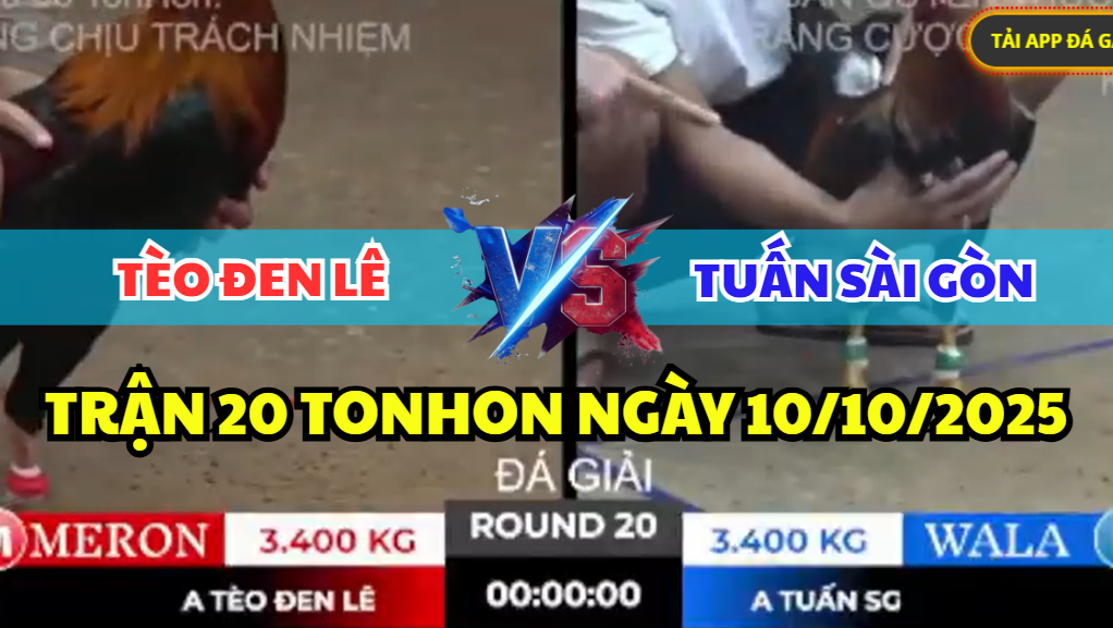 trận 20 tonhon ngày 10/10/2025 hôm nay giữa tèo đen lê vs tuấn sài gòn