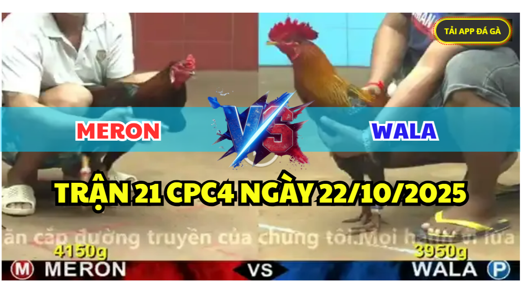 trận 21 cpc4 ngày 22/10/2025 hôm nay
