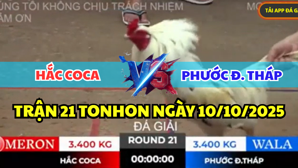 trận 21 tonhon ngày 10/10/2025 hôm nay giữa hắc coca vs phước đồng tháp
