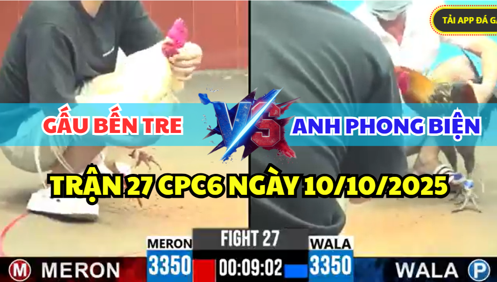 trận 27 cpc5 ngày 13/10/2025 hôm nay