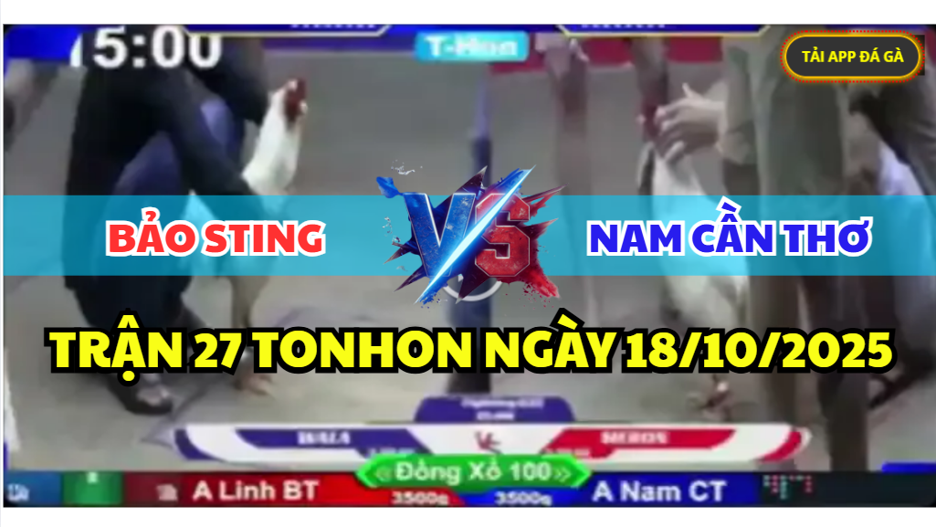 trận 27 tonhon ngày 18/10/2025 hôm nay giữa bảo sting vs nam cần thơ