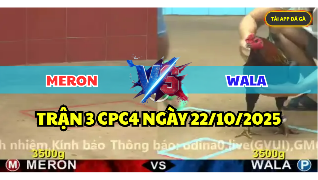 trận 3 cpc4 ngày 22/10/2025 hôm nay