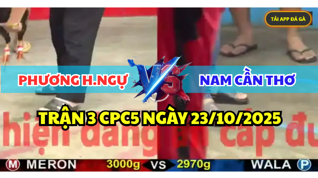 trận 3 cpc5 ngày 23/10/2025 hôm nay