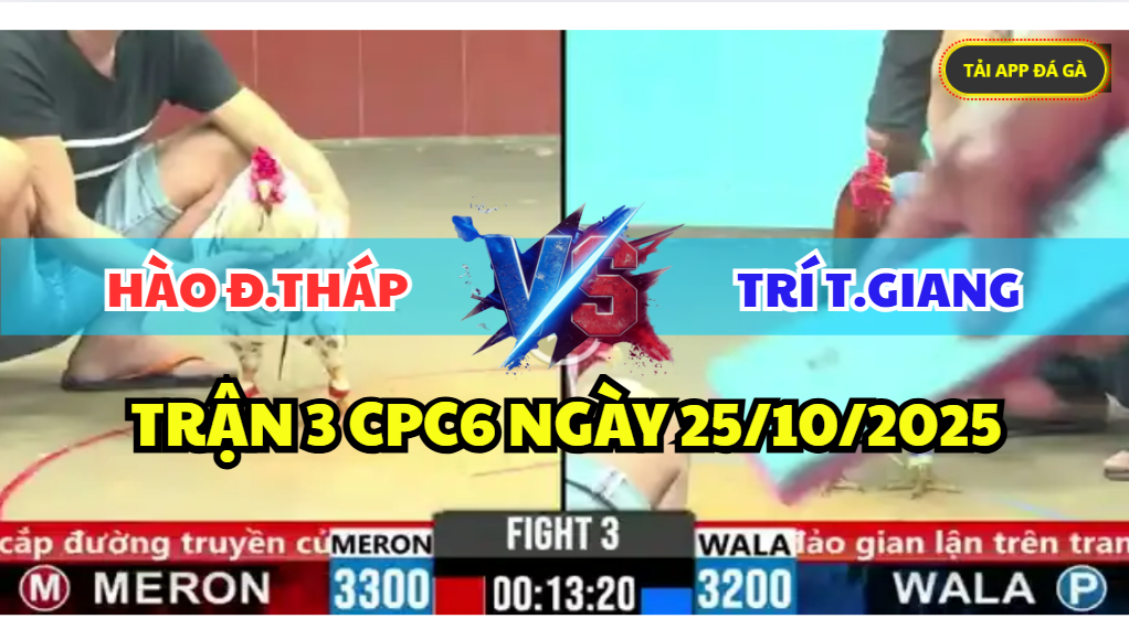 trận 3 cpc6 ngày 25/10/2025 hôm nay