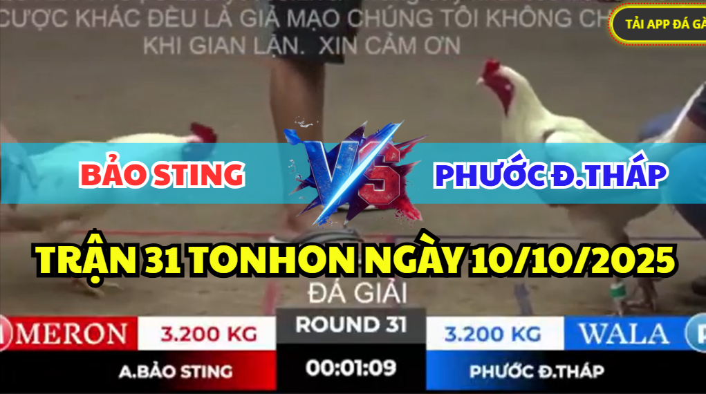 trận 31 ngày 10/10/2025 hôm nay giữa bảo sting vs phước đồng tháp