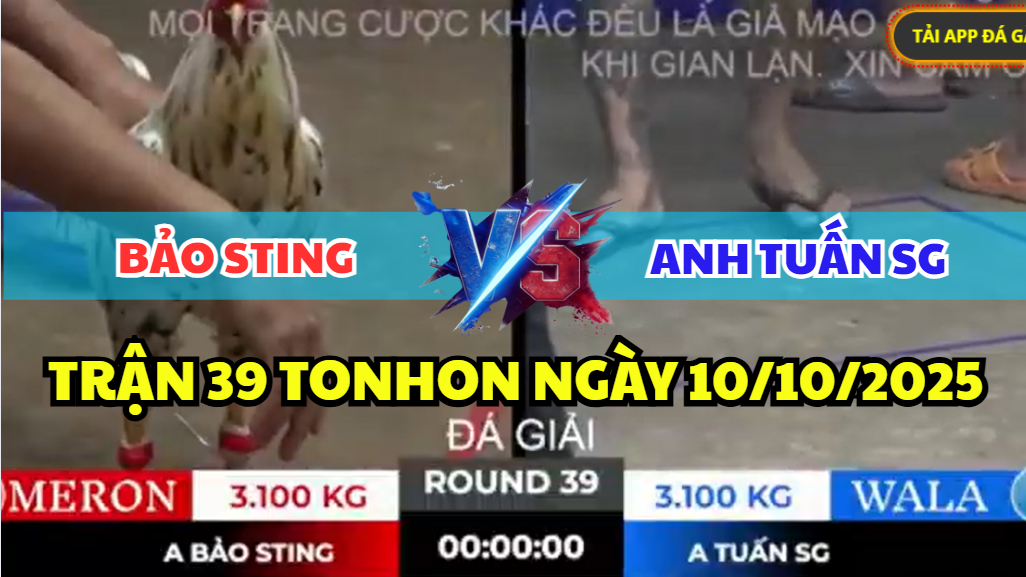 trận 39 tonhon ngày 10/10/2025 hôm nay giữa bảo sting vs tuấn sài gòn