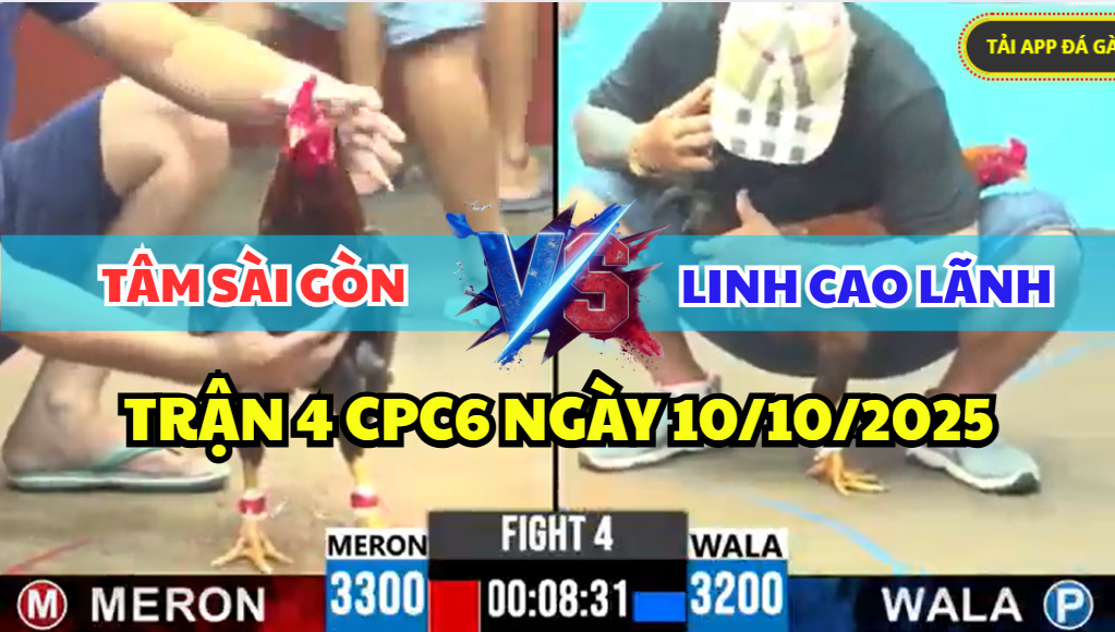 trận 4 cpc6 ngày 13/10/2025 hôm nay