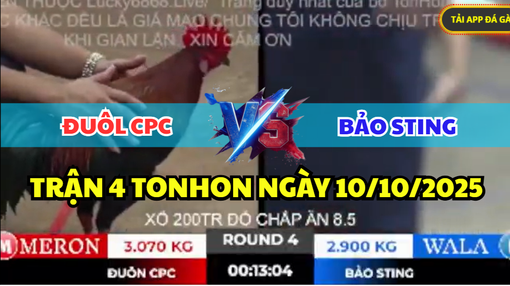 trận 4 tonhon ngày 10/10/2025 hôm nay giữa bảo sting vs đuôl cpc