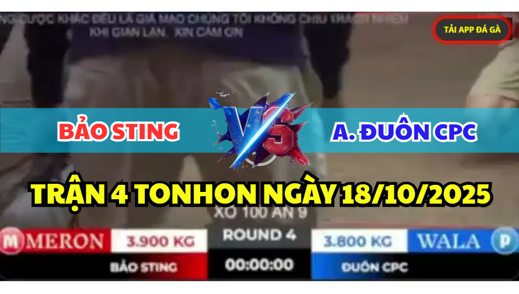 trận 4 tonhon ngày 18/10/2025 hôm nay giữa bảo sting vs anh đuôn cpc