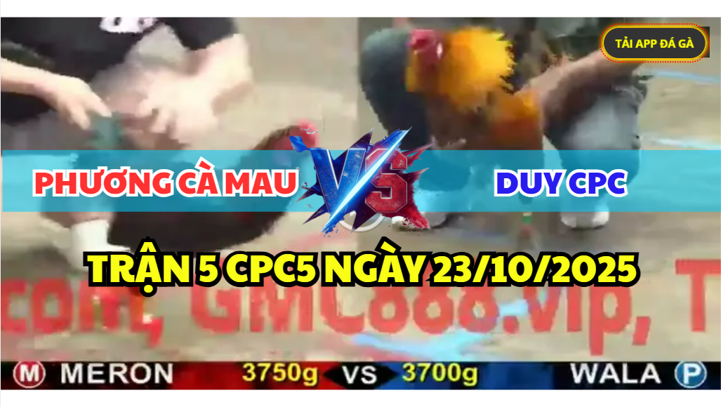 trận 5 cpc5 ngày 23/10/2025 hôm nay