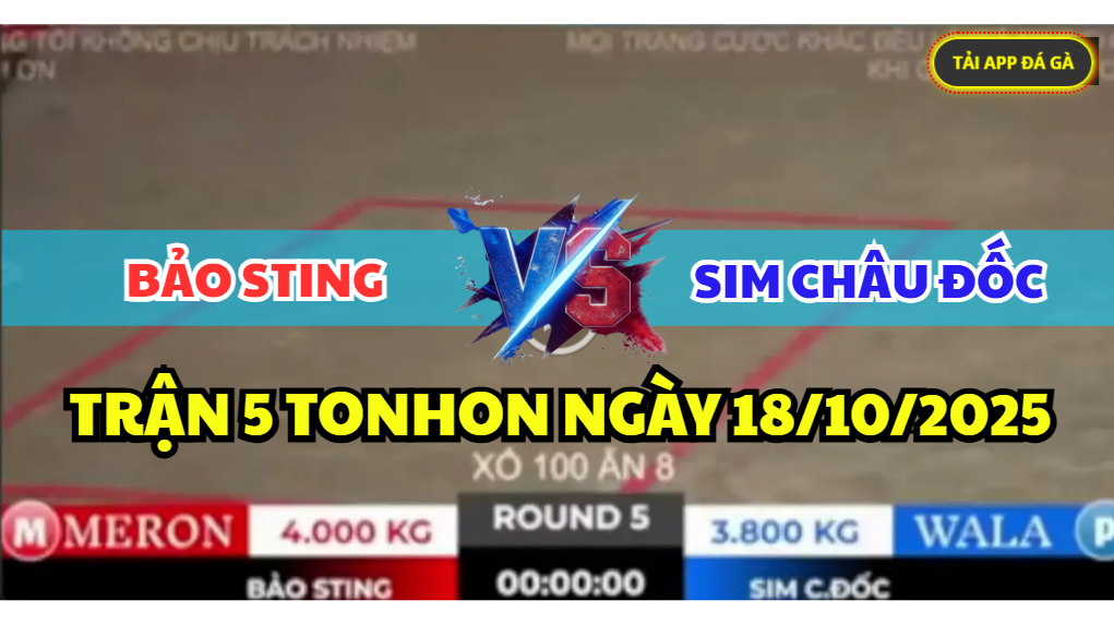 trận 5 tonhon ngày 18/10/2025 hôm nay giữa bảo sting vs anh sim châu đốc