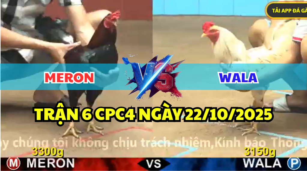 trận 6 cpc4 ngày 22/10/2025 hôm nay