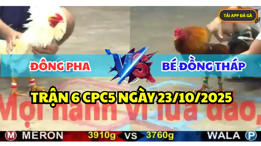 trận 6 cpc5 ngày 23/10/2025 hôm nay