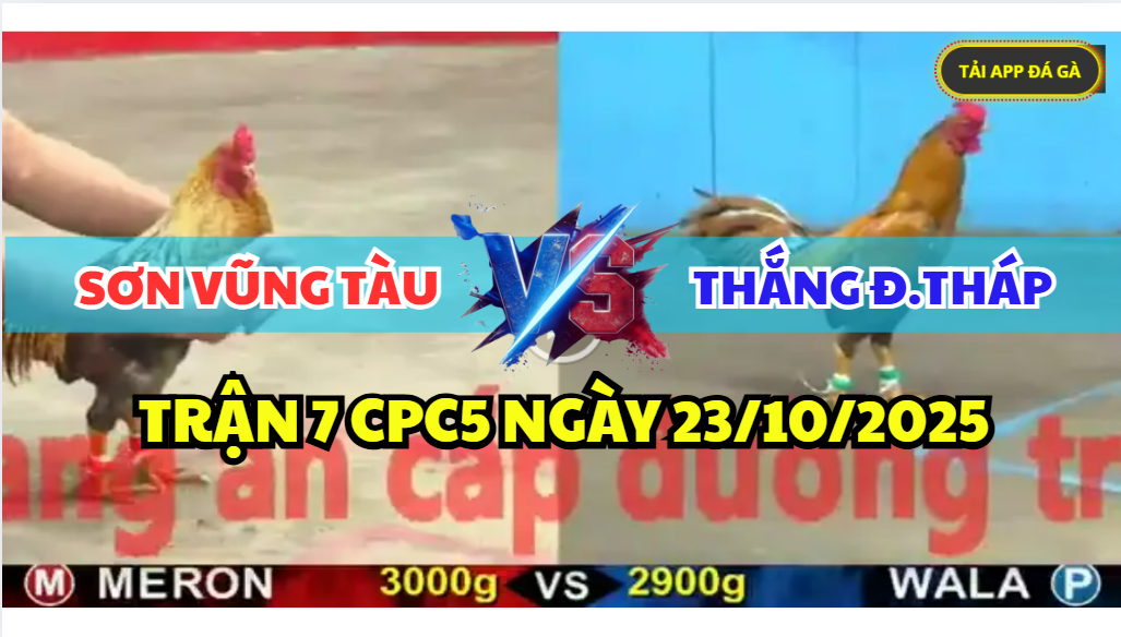 trận 7 cpc5 ngày 23/10/2025 hôm nay