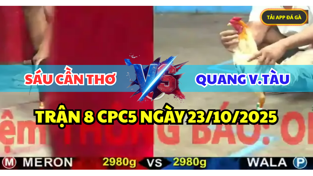 trận 8 cpc5 ngày 23/10/2025 hôm nay