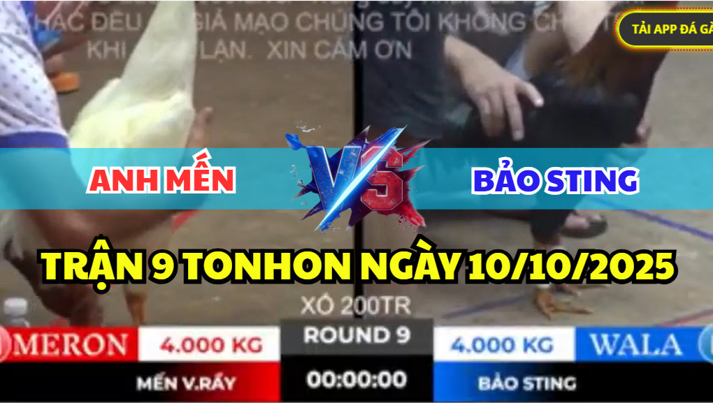 trận 9 tonhon ngày 10/10/2025 hôm nay giữa bảo sting vs anh mến